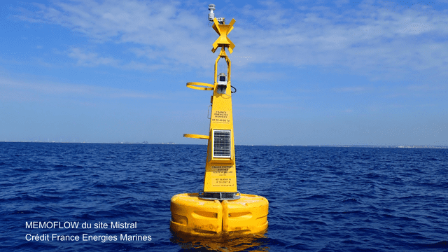 MISTRAL | Fondation OPEN-C